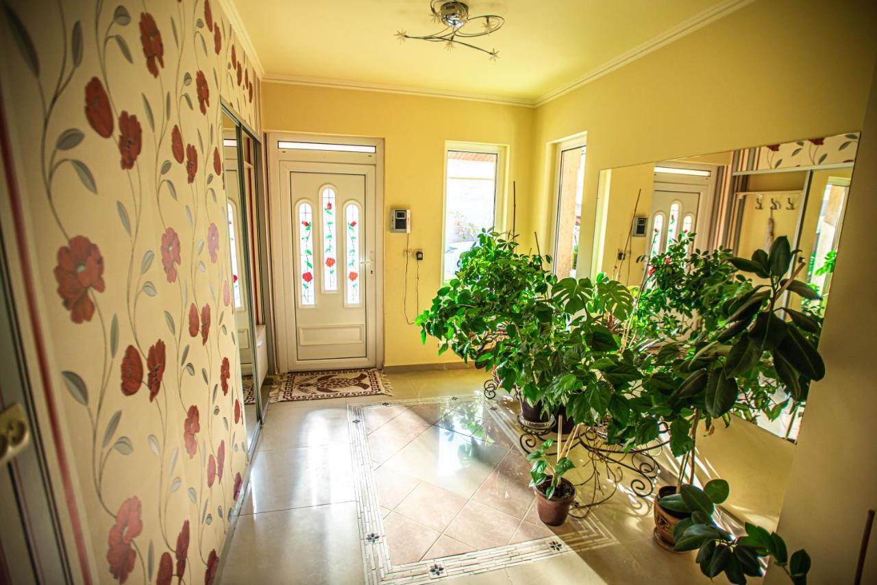 Lizak Apartment Berehove  Ngoại thất bức ảnh